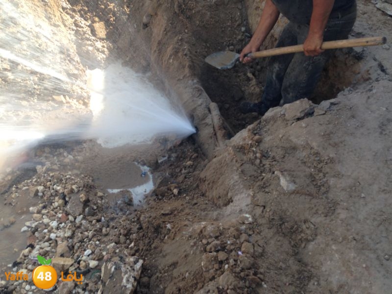 onbob samekh 7et (6).jpg